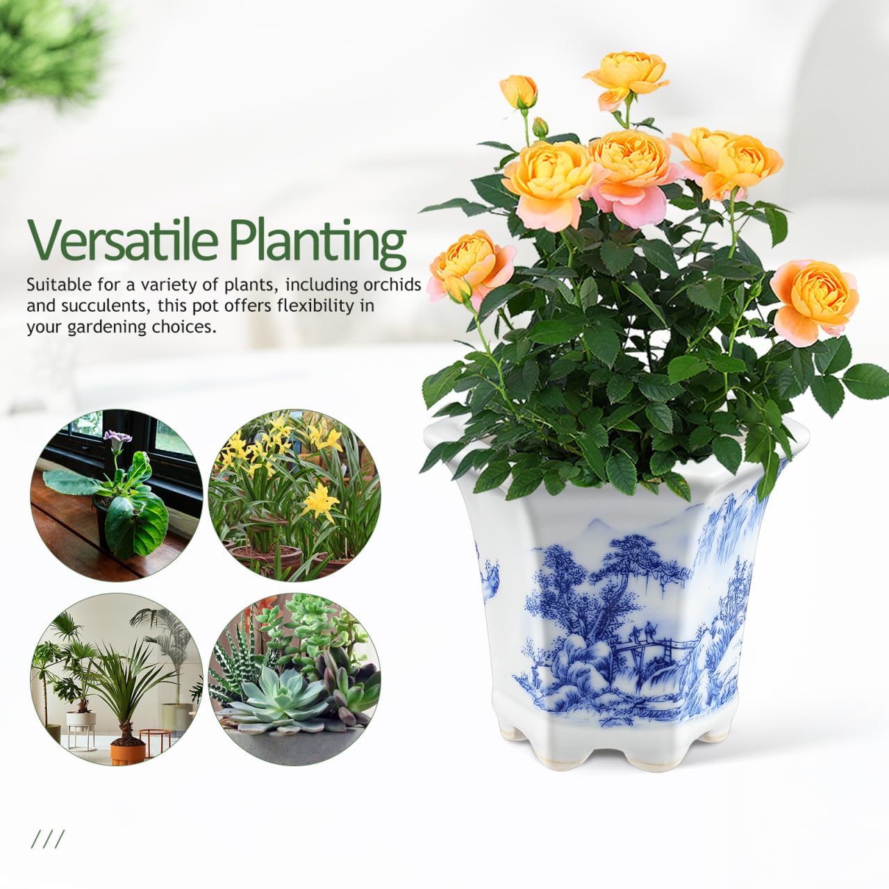 Toddmomy Blue and White Planter: Succulent Pots Ceramic Flower Pot Chinese Style Porcelain Planter Container for Office Desk Balcony Outdoor Garden