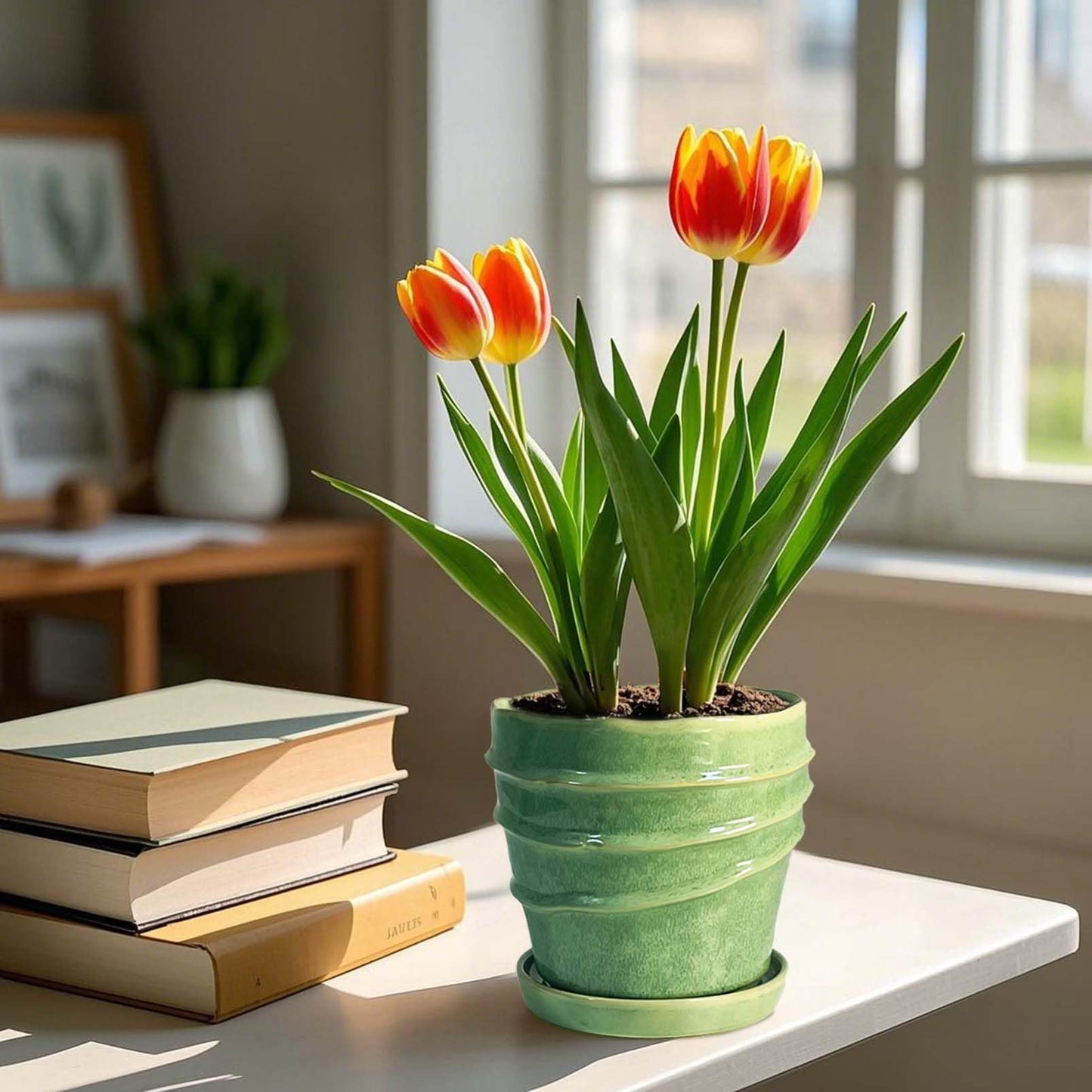 Chralji GIFTWARE 6in Plant Pot, Ceramic Planter, Plant Pots Indoor, Plant Pots with Drainage Holes and Saucers, Flower Pots for Indoor Plants, Bright Green