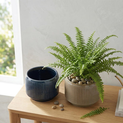 Sin wings 6 Inch Ribbed Ceramic Planter Set, Shallow Round Flower Pot with Drainage Hole, Modern Glazed Indoor Plant Pot for Fern Succulent Small Houseplant Desktop Windowsill Home Decor, 2 Pack