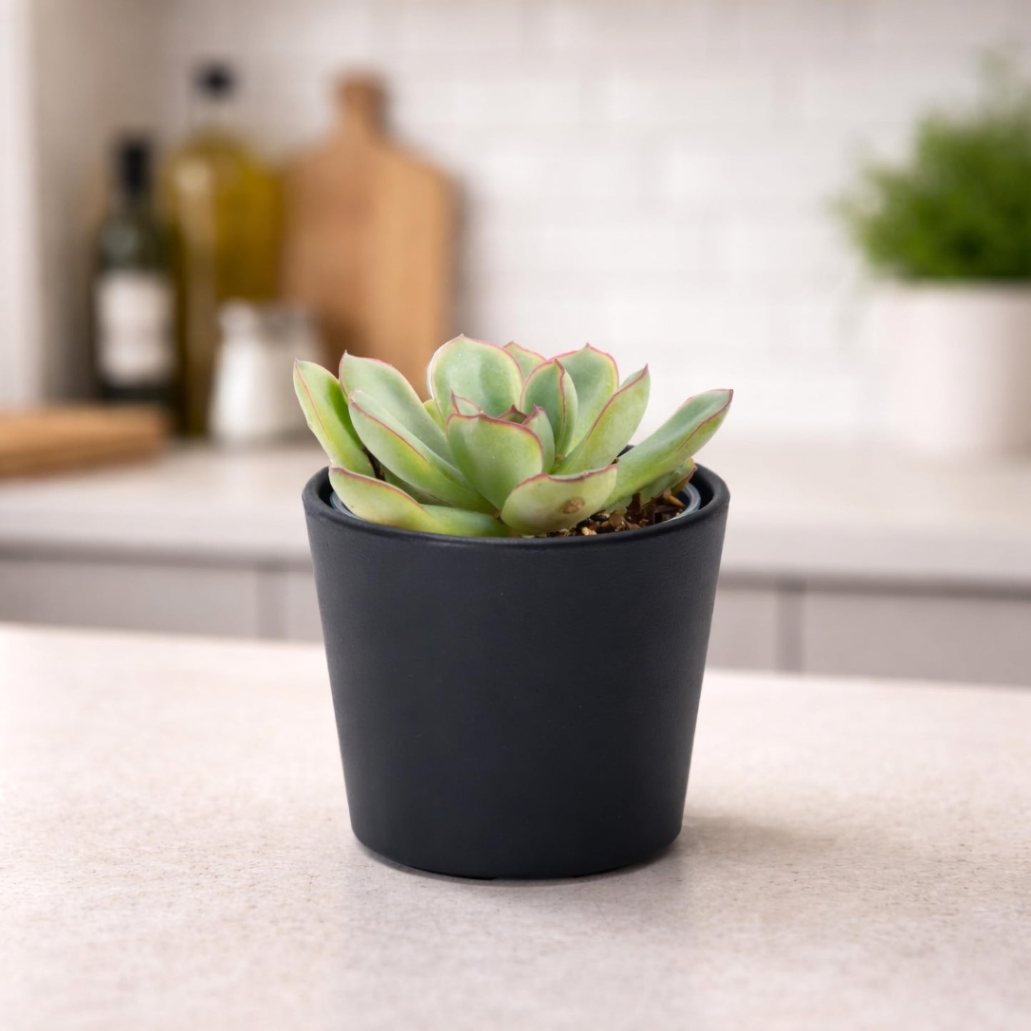 Phoenix Vine 3.5 Inch Black Plastic Cachepot with Clear Nursery Pot, Decorative Lightweight Planter Cover with Transparent Inner Pot for Indoor Houseplants, Pack of 6, 24-A-E-6