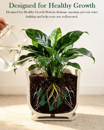 Avyra Velen Ceramic Plant Pots Set of 3 with Saucers, 4.3/5.5/7 Inch Planters for Indoor Plants, Drainage Hole Flower Pots for Succulents, Herbs, Aloe, Modern Home Decor, White