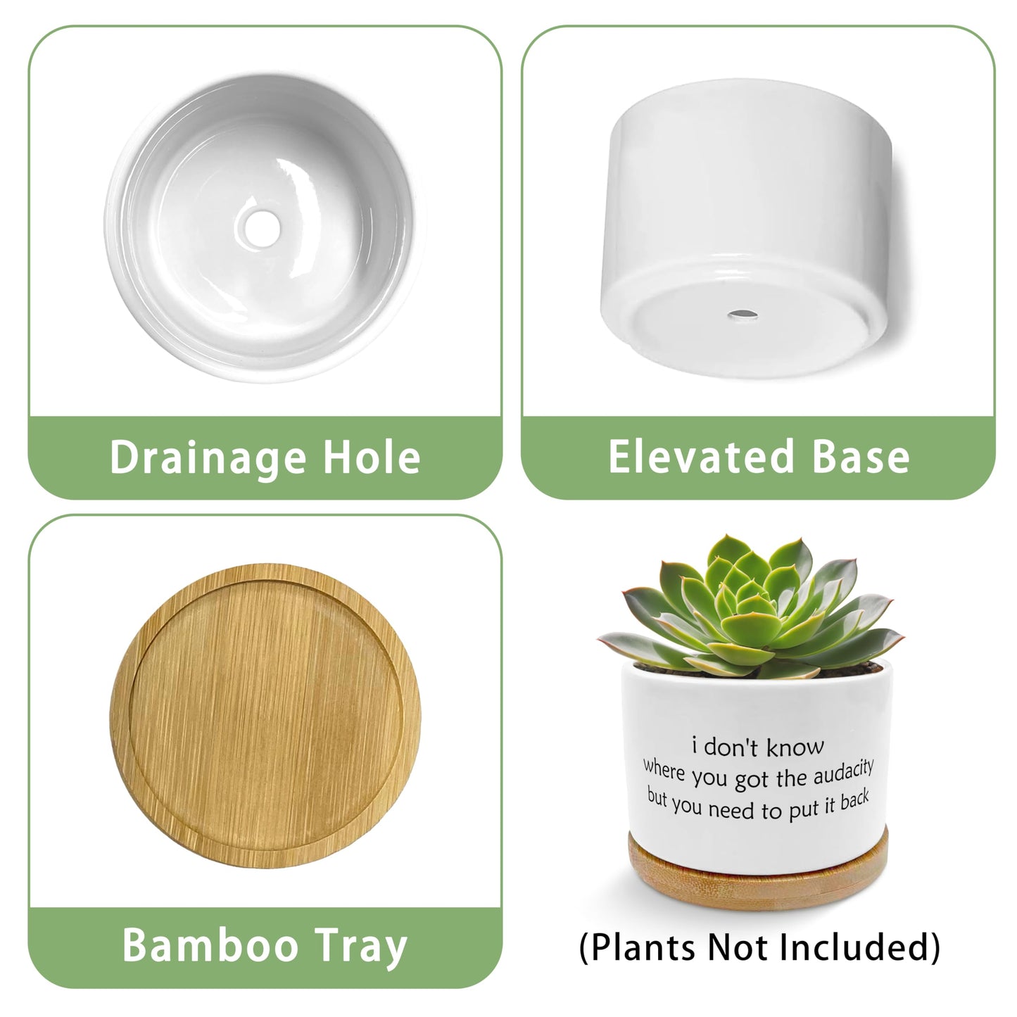 EVIHCG Funny Humorous Saying Planter Pots, Sarcastic I Don't Know Where You Got the Audacity Ceramic Succulent Plant Flower Planters for Home Office Desk Table Shelf(No Plants)