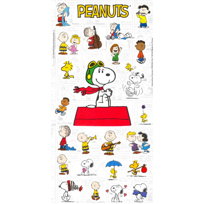 Peanuts School Supplies for Kids Set - Bundle with 2 Snoopy Notebooks, 2 Portfolio Folders, Stickers, More School Supplies Pack for Girls, Boys, Kids