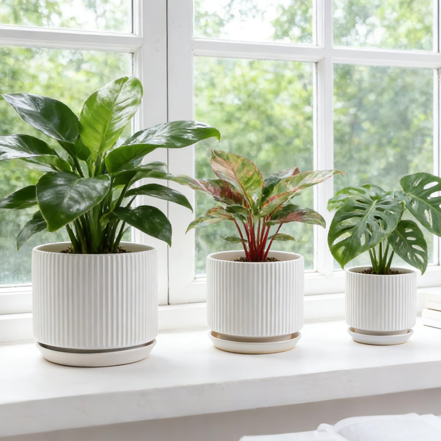 Ceramic-Flower-Pots-Sets-with-Saucer, 5/6/8 inch Small Planters for Indoor Plants with Drainage Hole, White Vertical Stripe Plant Pots for Home Decor, Outdoor Garden Pot For Succulent Cactus Herb