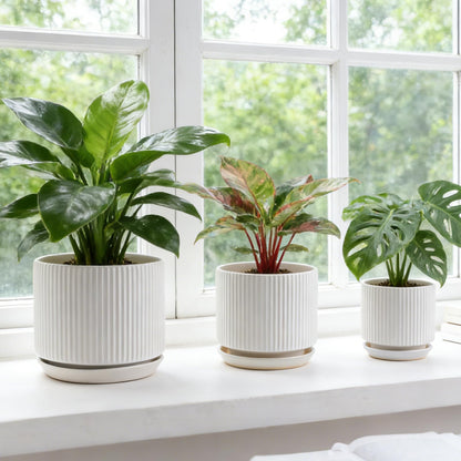 Ceramic-Flower-Pots-Sets-with-Saucer, 5/6/8 inch Small Planters for Indoor Plants with Drainage Hole, White Vertical Stripe Plant Pots for Home Decor, Outdoor Garden Pot For Succulent Cactus Herb
