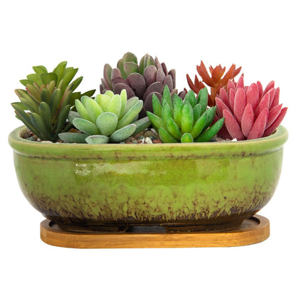 ARTKETTY Succulent Pots - Large Succulent Planters with Drainage Tray, 7.9'' Ceramic Pots for Indoor Cactus Plants, Oval Bonsai Flower Plant Container Bowl Decorative Home Desk Windowsill