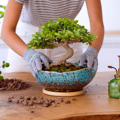 ARTKETTY Bonsai Pots - 9.06 Inch Large Plant Pots, Unique Succulent Pots with Drainage Tray, Ceramic Planters for Indoor Cactus Flower Plants Round Bonsai Tree Pots Decorative Home Office