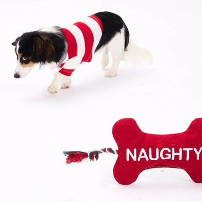 Pet Passion Multipack Stuffed Dog Toys Durable Cotton Canvas with Coconut Fill for All Pet Breeds, Naughty/Nice, One Size