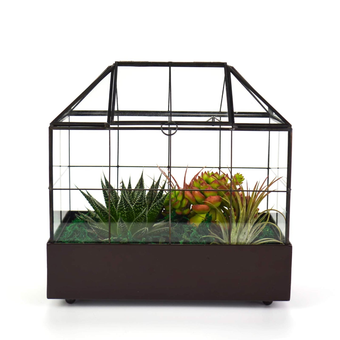 YIMORENCE V Large Tall Plant Terrarium Glass Greenhouse with Lid and Tray, Indoor Tabletop Orchid Succulent Cacti Kit 9.5'X9.8'X5.6'