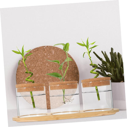 HEMOTON 3-Piece Glass Plant Terrarium Set with Bamboo Stand Hydroponics Planter for Indoor Succulents and Air Plants Decorative Tabletop Vases
