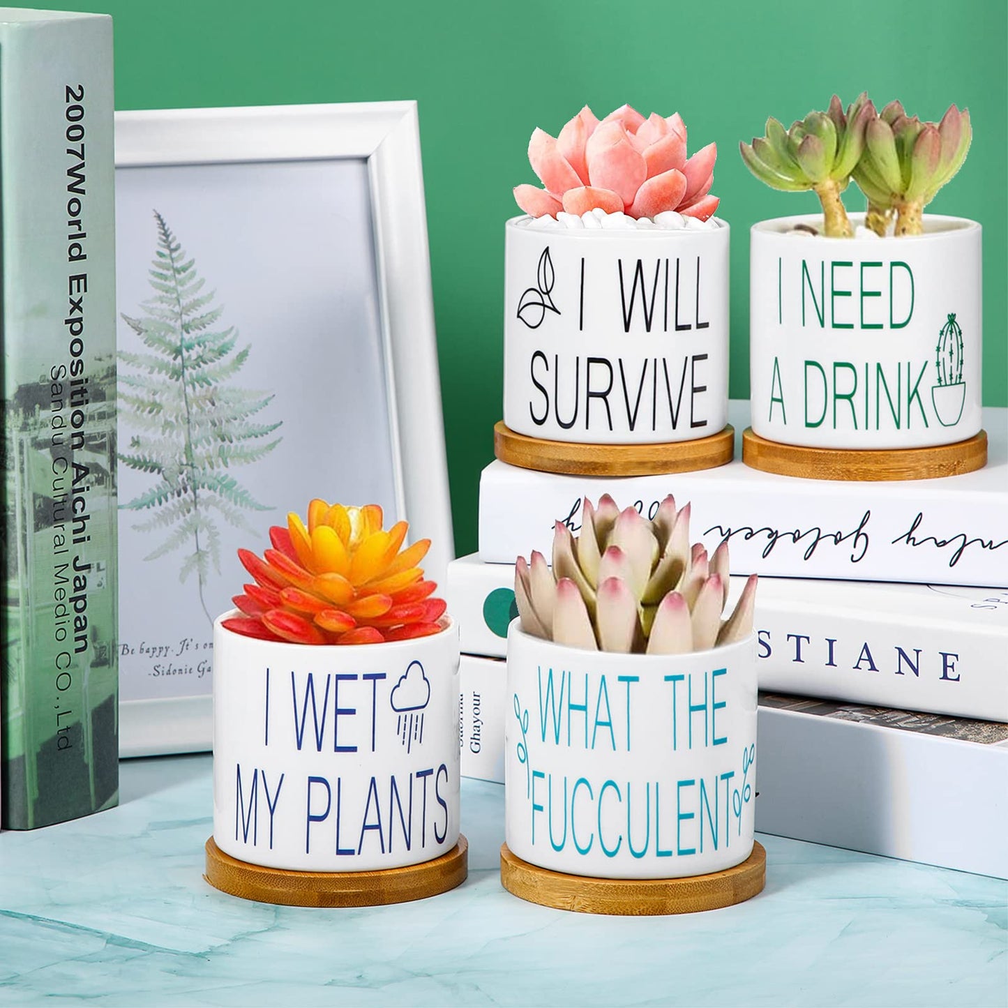 4 Pieces Succulent Pots Funny Sarcastic Succulent Cactus Planters Gifts for Grandma Friend 3.2 Inch with Drainage and Bamboo Tray White Ceramic Pot for Plants Garden Decorative (Fresh Style)
