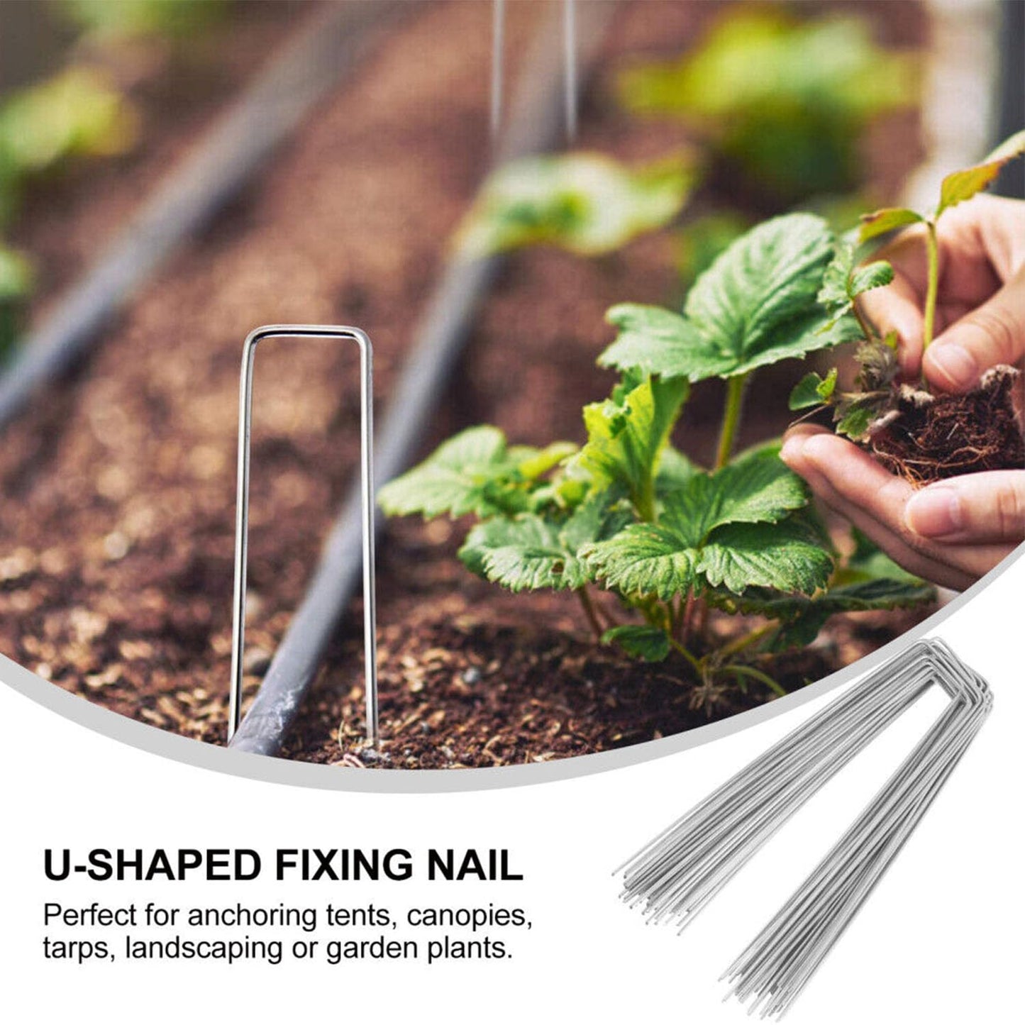 BEBEKULA 200 Pack 6 Inch Garden Stakes, Galvanized Landscape Staples for Weed Barrier Fabric, Heavy Duty Sod Pins Securing Pegs Netting Ground Sheets and Fleece, Ground Cover, Irrigation Tubing