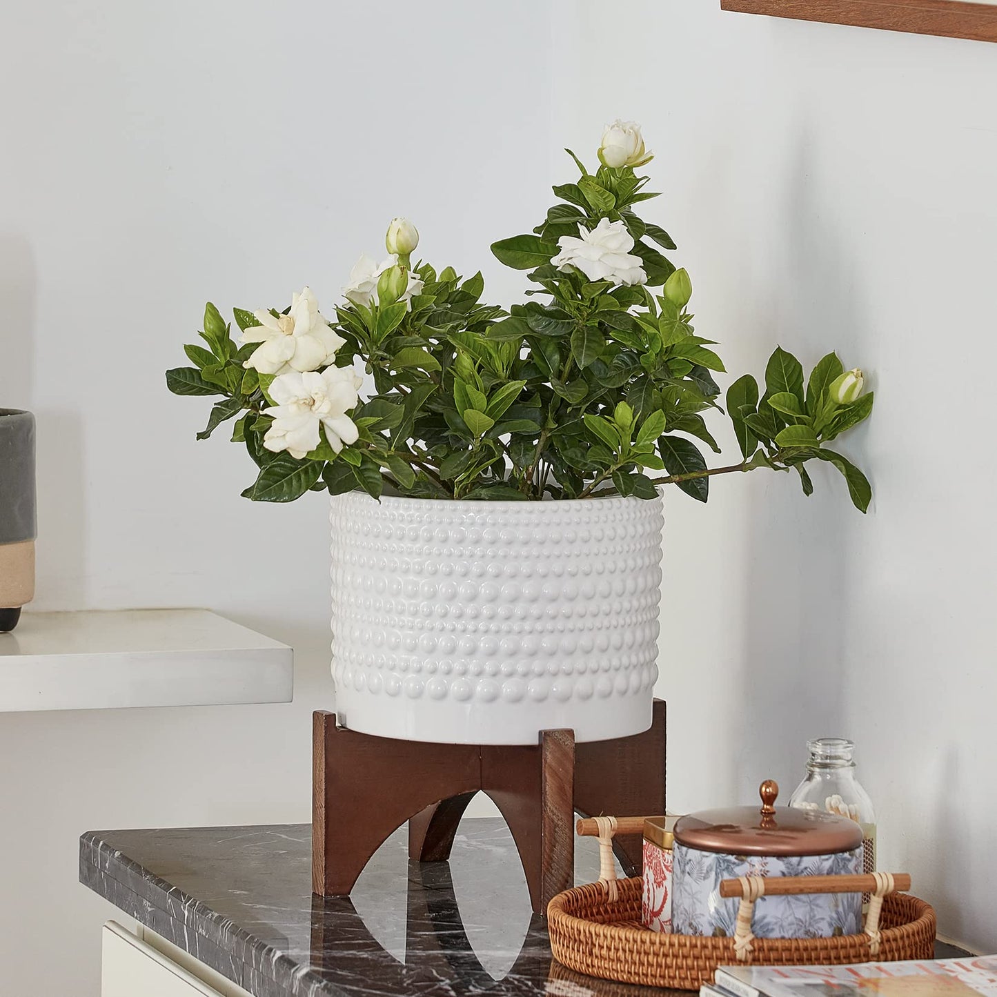 LA Jolie Muse Ceramic Planter with Wood Stand - 8 Inch White Cylinder Embossed Hobnail Patterned Flower Plant Pot Indoor