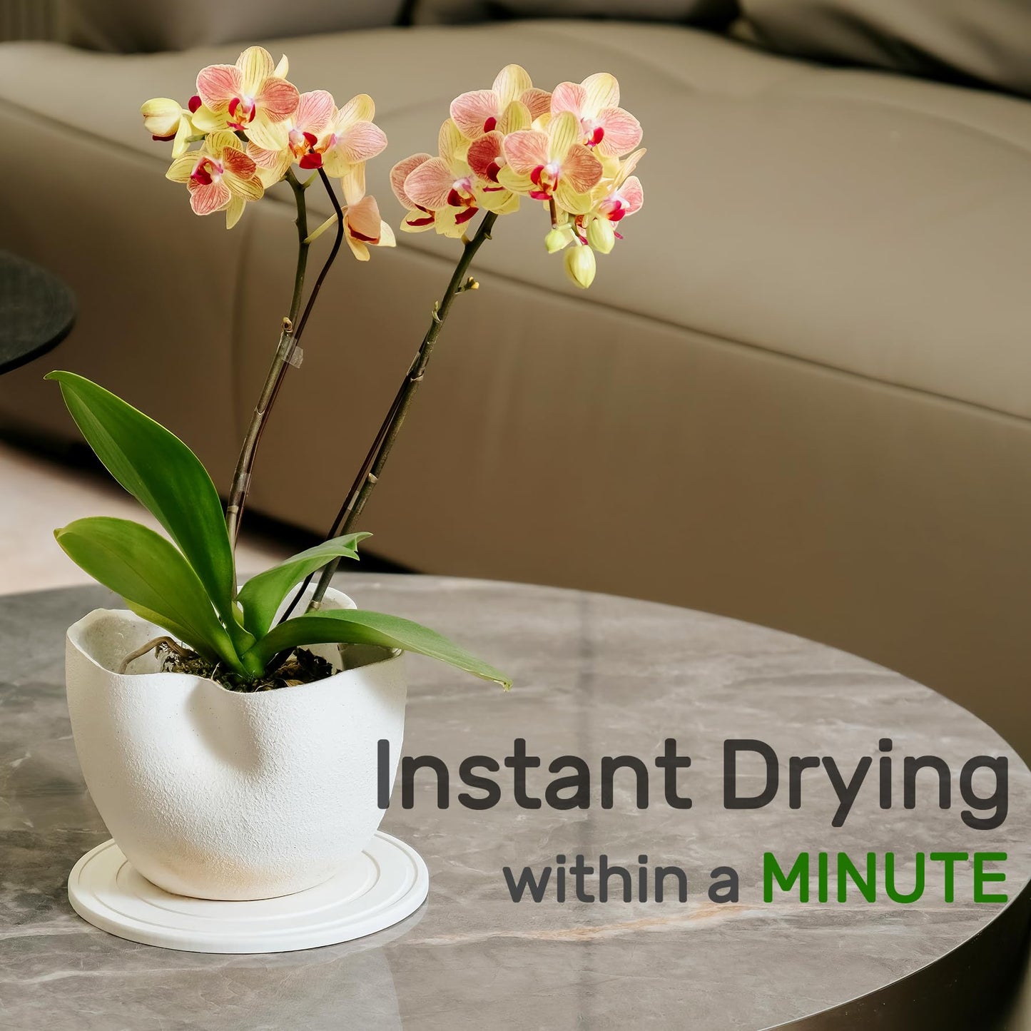 Relime Diatomaceous Earth Plant Saucer for Indoor, 2 Pack 8 inch, Instant Dry Pot Saucer, Plant Drip & Drainage Tray for Indoor, Off White