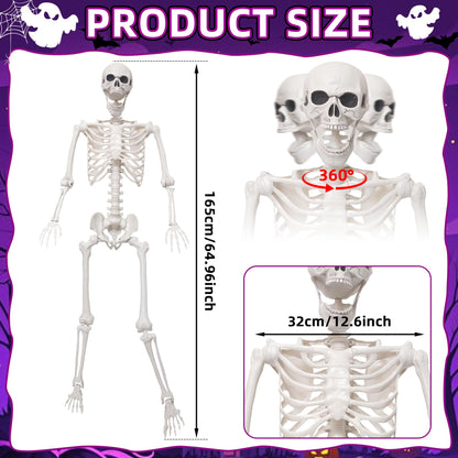 SHOCOSTO 5.4Ft Giant Skeleton Life Size Human Bones with Movable Joints for Halloween Props Decorations