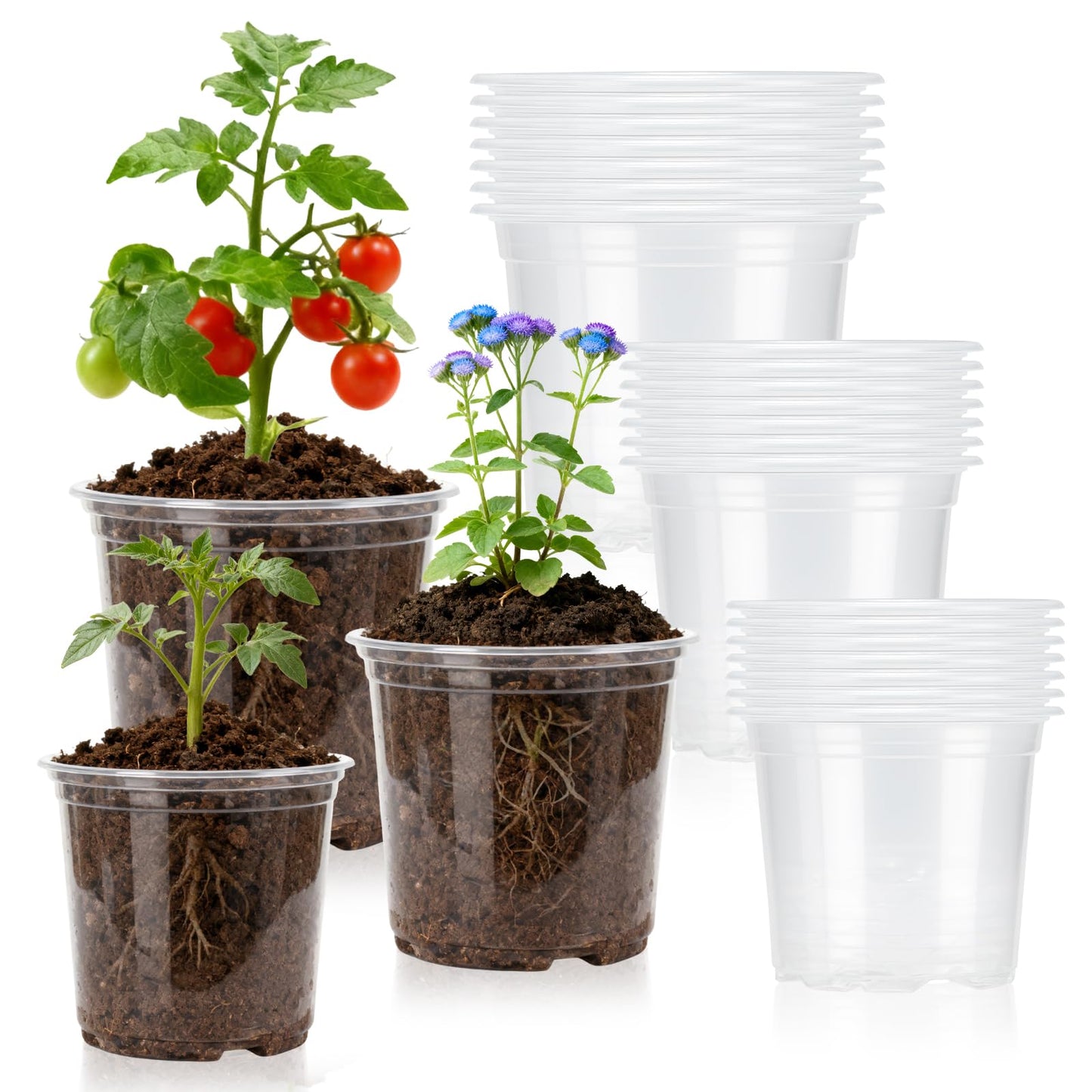 Plgardpo Clear Nursery Pots, 4/5/6 Inch Transparent Plastic Plant Pots with Drainage Holes, Variety Pack Seed Starting Pots, Clear Flower Pots for Indoor Outdoor Plants, 24 Packs