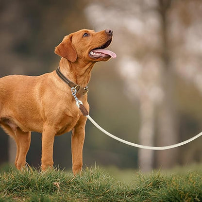 Mile High Life Leather Dog Leash, Heavy Duty Strong Genuine Leather Handle Rope Leash Soft and Comfortable for Small Medium Large Dogs (Cream White, 48 Inch)