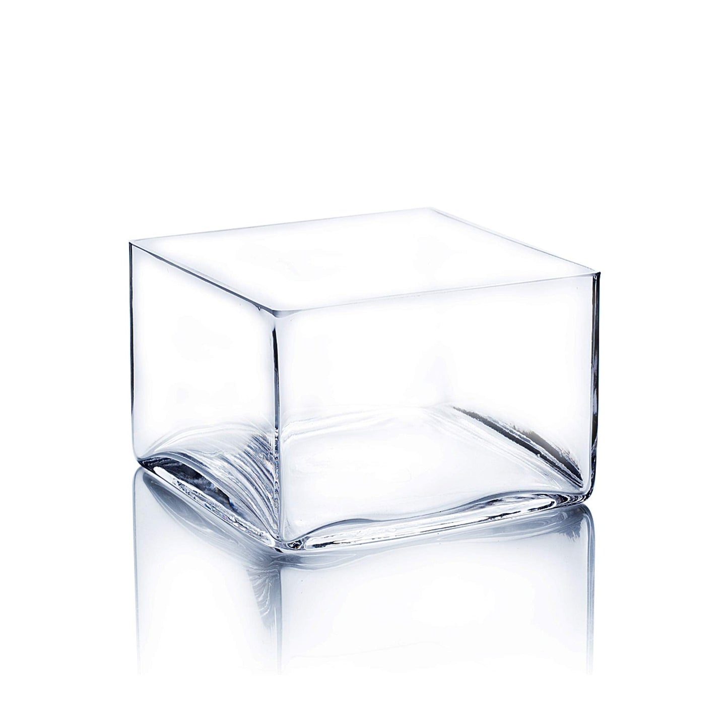 WGV Square Block Glass Vase, Length 6", Height 4", Clear Planter Terrarium, Floral Container for Wedding Party Event, Home Office Decor, 1 Piece