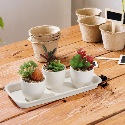 Alasum 5-Pack Beige Rectangular Plant Drip Trays - Durable Plastic Flower Pot Saucers for Windowsill Bonsai and Potted Plants - Water-Saving and Breathable Drainage Catch Trays for Indoor and Outdoor