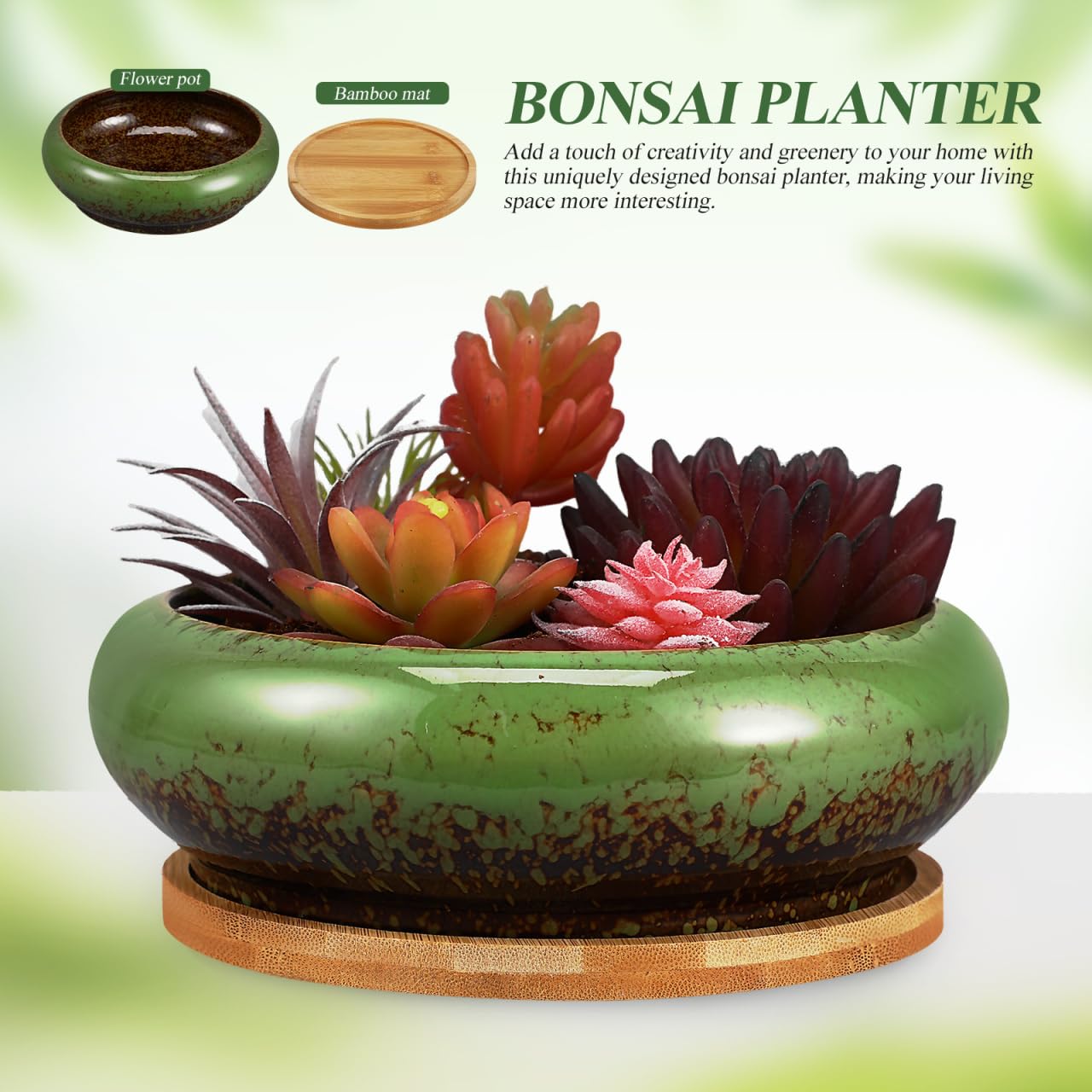 NOLITOY 7 Inch Ceramic Succulent Planter Bowl with Drainage Hole and Tray, Green Round Shallow Flower Pot for Indoor Cactus Arrangements and Office Desk Decor