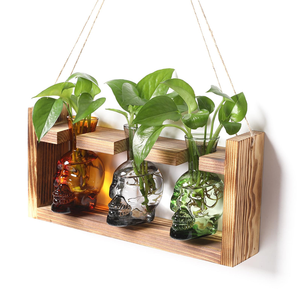 Plant Terrarium Propagation Stations Hydroponics Halloween Skull Planter Vase Skulls Decor with Wooden Stand Gift for Father