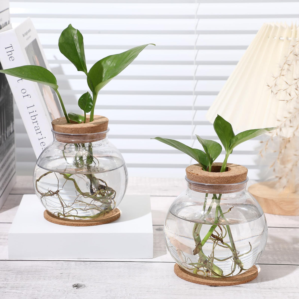 Baderke 2 Packs Propagation Vases for Plants Plastic Plant Propagation Station with Hole Lid and Cork Coasters Plant Growing in Water Hydroponic Home Office Table Decoration(Fish Bowl Style)