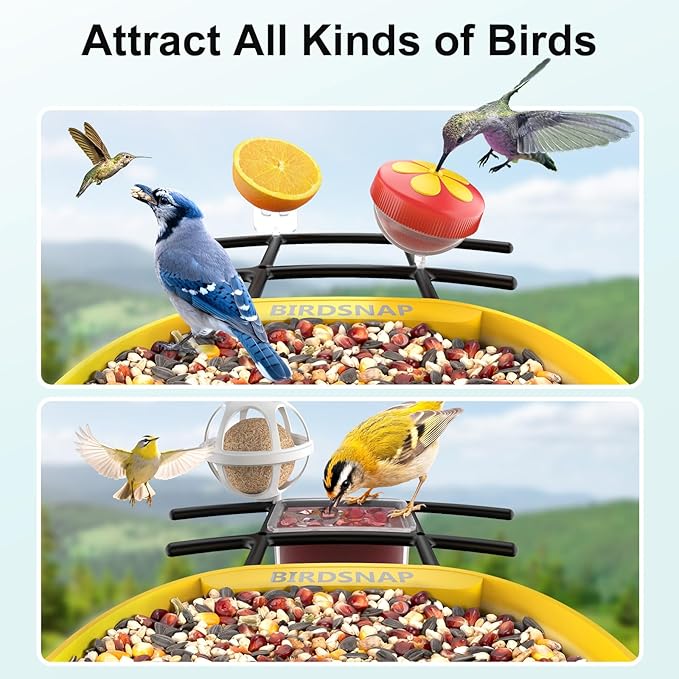 birdsnap® PAV-Bird Feeder with Camera,2K HD with 64GB Card, AI Identify Smart Bird House Cam Solar Panel,Live Stream,Motion Detection,Auto Record Video for Backyard Outdoors,Ideal Gift for Bird Lover