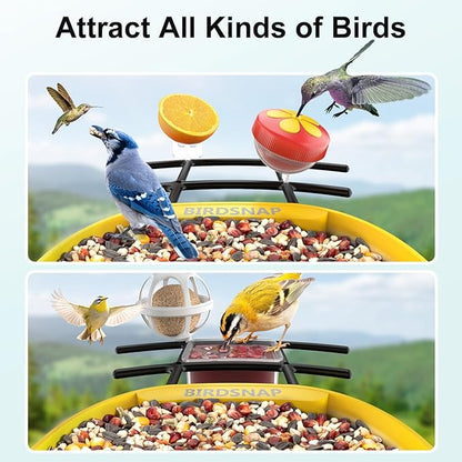 birdsnap® PAV-Bird Feeder with Camera,2K HD with 64GB Card, AI Identify Smart Bird House Cam Solar Panel,Live Stream,Motion Detection,Auto Record Video for Backyard Outdoors,Ideal Gift for Bird Lover