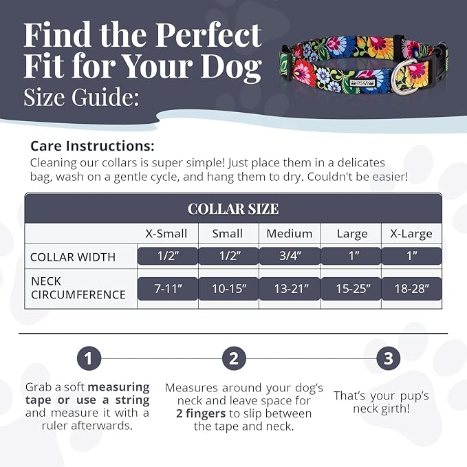 Lucky Love Dog - Easy Click Buckle Dog Collar with Leash Set Combo, Durable & Comfortable for Male & Female Dogs, Pet Collar for Large Dogs, Secure Fit - Bailey Combo, Large