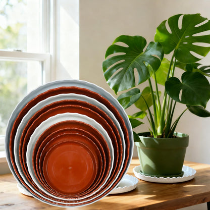 JAKOUE 4 Size Wave Shaped Round Plant Saucer,6 Pack Pant Pot Trays, Plant Saucers for Indoors and Outdoors, Seed Starting Tray, Growing Trays,White（4",5",6",8"）