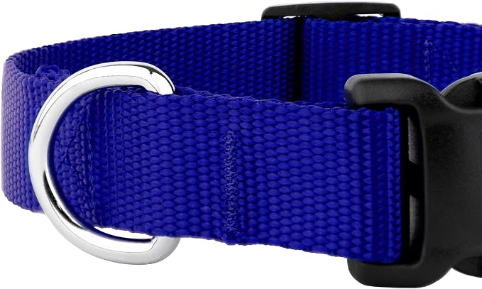 Country Brook Petz - Everyday Nylon Dog Collar and Leash - 10+ Cool Colors (1 Inch, Large, Bright Royal Blue)