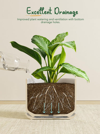 LE TAUCI Ceramic Pots for Plants, 10 Inch Plant Pot with Drainage Hole & Saucer, Sturdy & Modern Planters for Indoor Plants, Includes Mesh Screen, Fits Snake Plant & Monstera, White