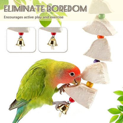 2 Pack Bird Cuttlebone Chew Toys, Cuttlefish Bone for Birds Beak Grinding Stone, Natural Calcium Supplement Cage Accessories for Parakeets, Budgies, Cockatiels, Lovebirds, Small Medium Birds