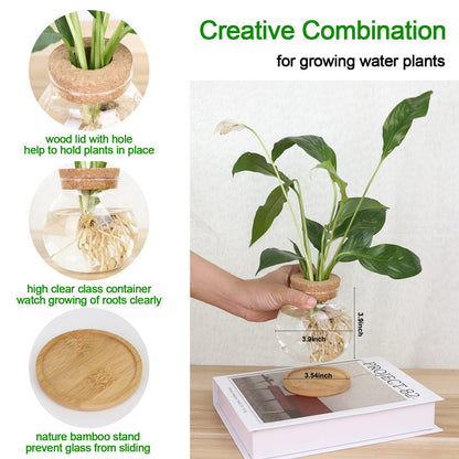 CHPINDAM Plant Propagation Station,Hydroponic Glass Container Vase Jars, with Wooden Saucer for Desks, Houses, Garden Decorations, Home Kitchen Decorations and Gifts for Plant Lovers (2)