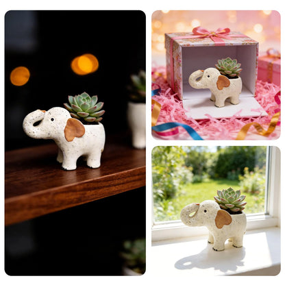 DZHPSRSZ White Elephant Planter Ceramic Elephant Succulent Planter with Drainage Hole, Indoor Outdoor Home Garden Desk Decor,Elephant Flower Pot for Succulents Cactus Air Plants(9.1in)