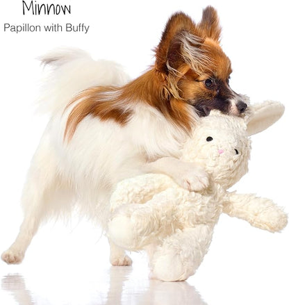 Pet Passion Plush Durable Cotton Dog Toys with Coconut Fill for All Pet Breeds, Bunny, One Size