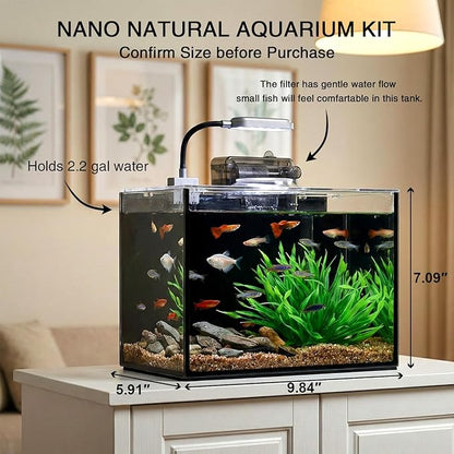 2 Gallon Betta Fish Tank, Small Aquarium Kit,Glass Small Fish Tank,Betta Fish Tank with a lid and Light and Filter, Small Transparent Glass Fish Tank with Light and Filter (Black Glass Background)