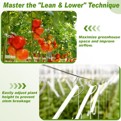 Hushee 100 Pack Tomato Hooks with 200 Garden Clips & 32.8ft String, Tomato Hooks for Climbing Plants, Heavy Duty Plant Support Kit for Greenhouse, Vegetable Plant Fruit Flower