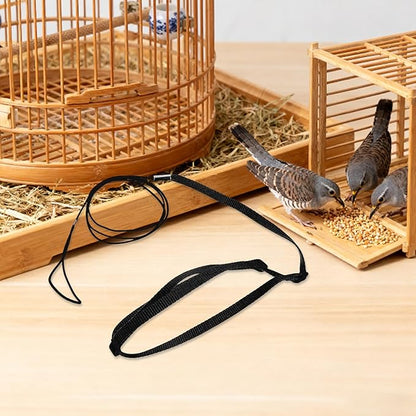 Parrot Flying Harness: Training Leash Rope - Breathable Chest Vest - Adjustable Line Kit for Cockatoo Recall Practice Balcony Walks Yard Outings