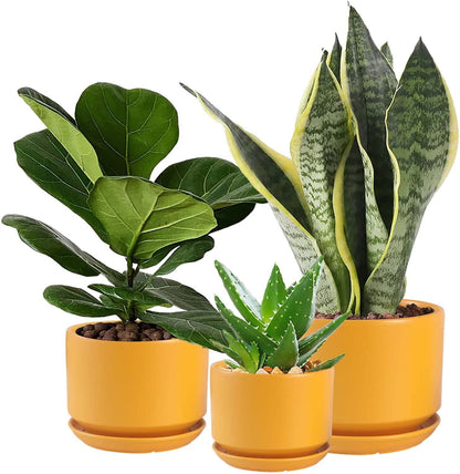 WHOMEPAA Ceramic Plant Pots with Drainage Hole and Saucer,Modern Indoor Pots for Plants,Ceramic Planter 6.7/5.3/4.3 inchs Set of 3,Indoor Flower Pot with Hole Mesh Pad, for Mom,Yellow