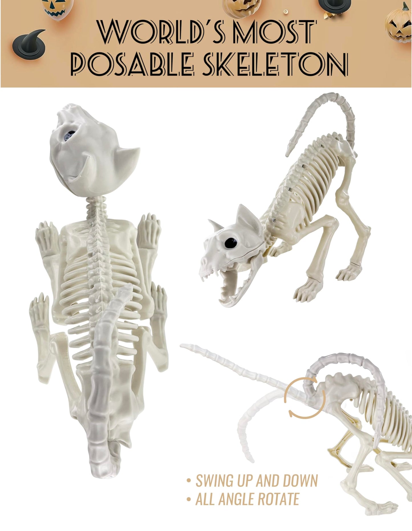 GIFTEXPRESS 2 Pack Real Size Cat Skeleton - 20" Long Creepy Kitten Skeletons with Posable Tail Halloween Decor - Indoor & Outdoor Haunted House Scary Animal Party Decoration