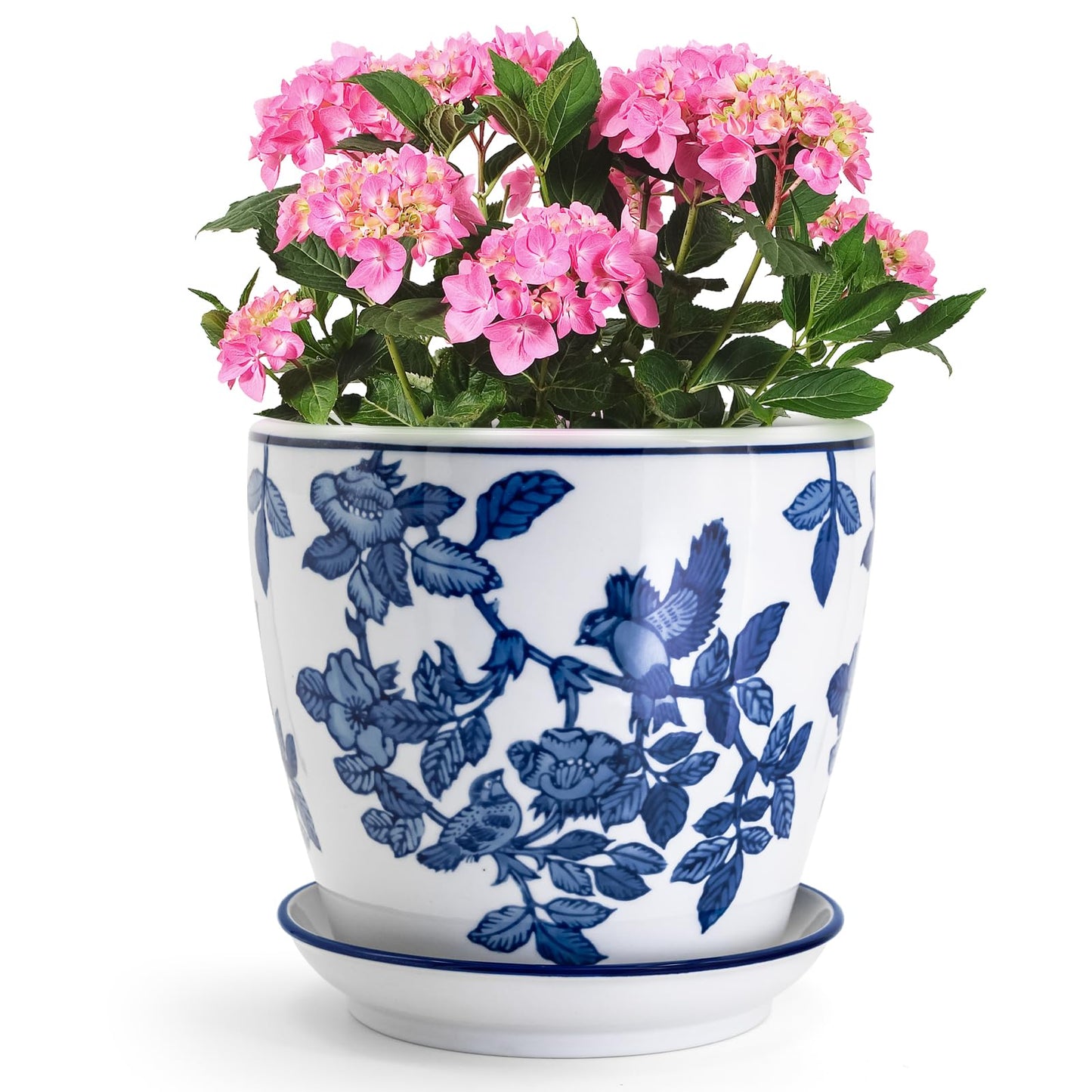 HakkaGirl 8 inch Ceramic Flower Pots, Chinoiserie Decor Ceramic Planter Plant Pots for Indoor Plants with Drainage and Saucer, Blue and White