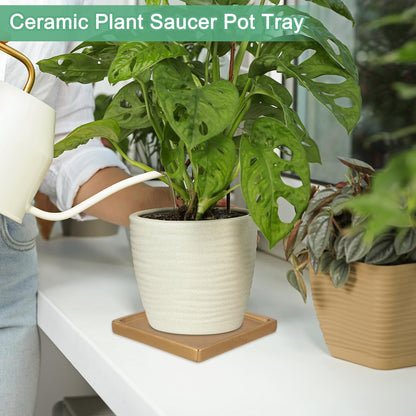 M METERXITY 2-Pack Ceramic Plant Saucer, 5 Inch Plant Water Catcher Tray, Plant Pot Saucers for Indoor/Outdoor Plants/Flower Drainage Drip Water Tray [Square Gold]