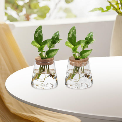 DECORNIJIA 3pcs Glass Hydroponic Plant Propagation Vases with Smooth, Hammered Vertical Textured Volcanic Cork Stoppers for Desktop Terrarium and Indoor Plant Decoration