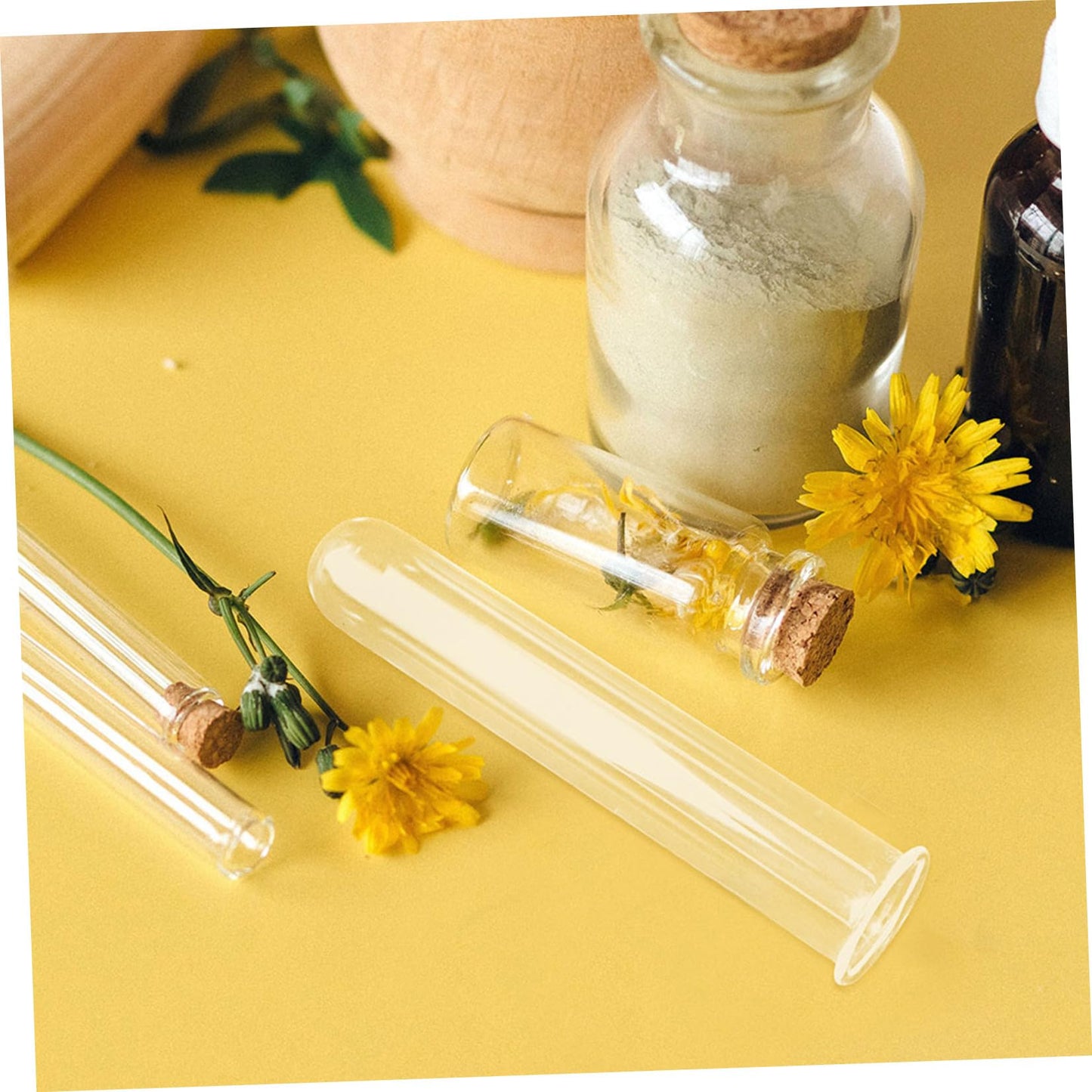 CATIEBYE 5pcs Glass Test Tube Vases for Plant Propagation Small Hydroponic Flower Water Tubes for Home and Office Terrarium Decoration 2.5x3x15cm