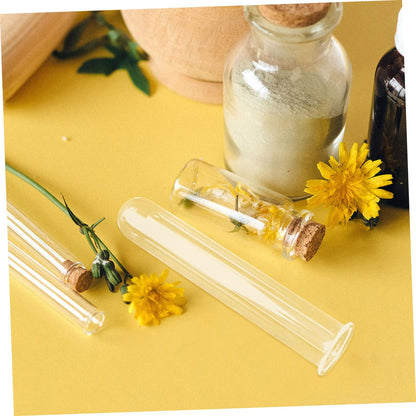 CATIEBYE 5pcs Glass Test Tube Vases for Plant Propagation Small Hydroponic Flower Water Tubes for Home and Office Terrarium Decoration 2.5x3x15cm