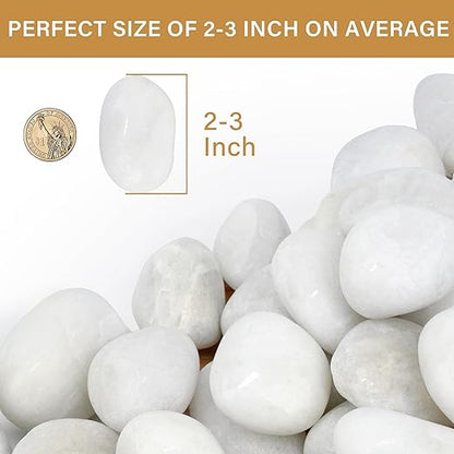 NUPICK 3lb White River Rocks for Plants Indoor, 2-3Inch White Pebbles for Vases Fillers, Decorative Gravel for Fish Tank, Natural Polished Stones for Succulent, Bonsai, Landscaping, Bird Baths