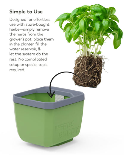 BUZZY Seeds Herb Buddy Self-Watering Herb Planter with Water Level Indicator – Indoor Kitchen & Windowsill Planter (Grey)