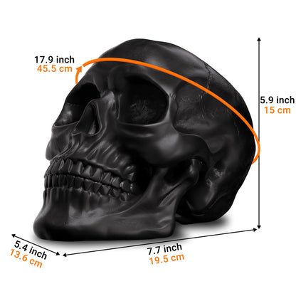 READAEER Resin Skull, Human Head Model for Home Decoration, Halloween Statue, Skull Model for Bookshelf and Desktop (Black)