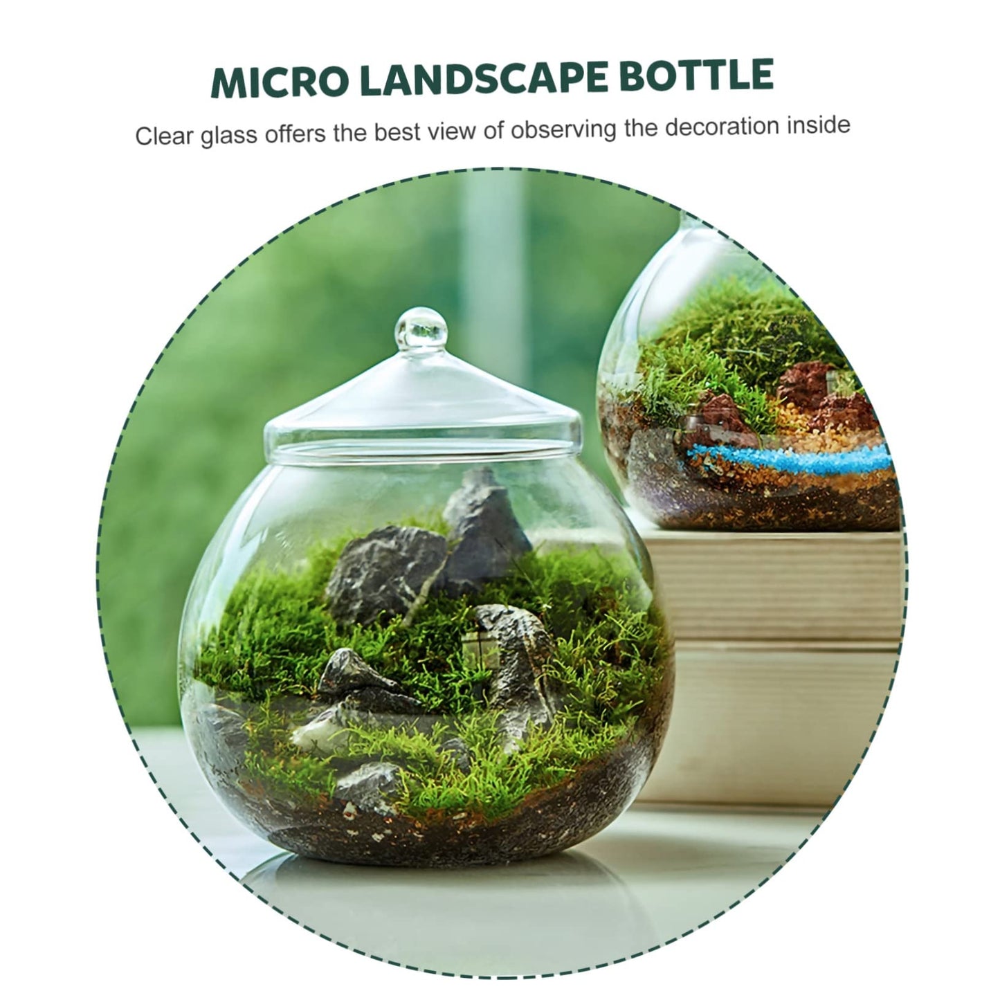 Glass Plant Terrarium Lid Eco Bottle Terrarium Jars Moss Ball Decorative Vase Style